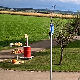 041 - We gingen terug en zagen deze groente en fruit onderweg